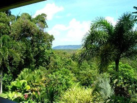 Daintree Manor - Accommodation Whitsundays 3