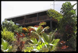 Daintree Manor - Accommodation Whitsundays 5