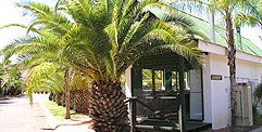 Desert Palms Resort - Accommodation Whitsundays 2