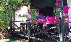 Desert Palms Resort - Accommodation Whitsundays 3