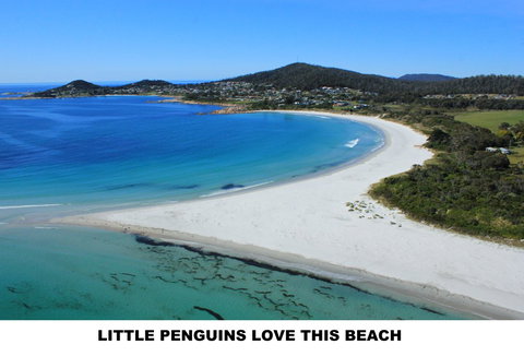 Diamond Island Resort - Accommodation Whitsundays 5