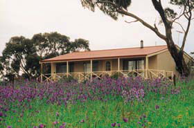 Armagh SA Accommodation Whitsundays