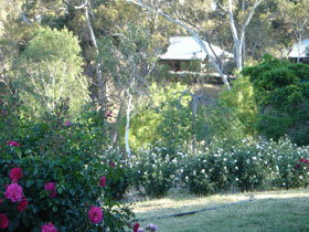 Watervale SA Accommodation Whitsundays