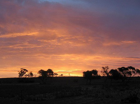 Willangi Bush Escapes - Accommodation Whitsundays 1