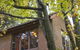 Crafers Cottages - Cherrytree Cottage - thumb 4