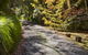Crafers Cottages - Cherrytree Cottage - thumb 5