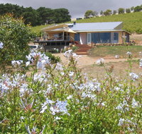 The Blue Grape Vineyard Accommodation - Accommodation Whitsundays