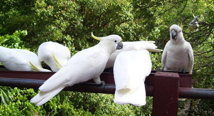 Summertown SA Accommodation Whitsundays