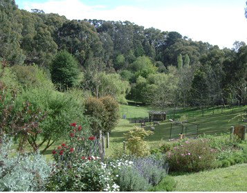 Lorikeet Lane B&B - Accommodation Whitsundays 1