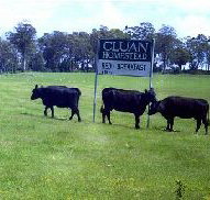 Cluan Homestead - The Managers Residence