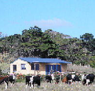 Marrawah Beach House - Accommodation Whitsundays