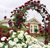 Golden Embers Apartments and B and B - Accommodation Whitsundays