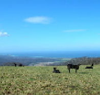 St Marys Seaview Farm - Accommodation Whitsundays