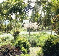 Cherry Park Estate