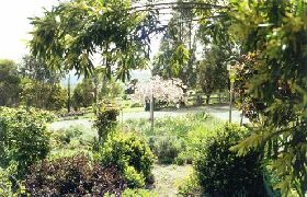 Cherry Park Estate - Accommodation Whitsundays 0