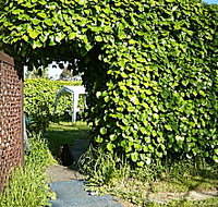 Kirra Guest House - Accommodation Whitsundays