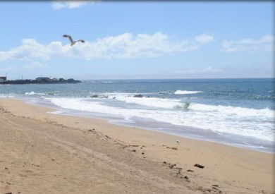 Comfort Hotel Burnie - Accommodation Whitsundays 3