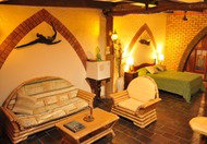 Cedar Park Rainforest Resort - Accommodation Whitsundays 0