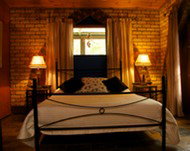Cedar Park Rainforest Resort - Accommodation Whitsundays 3