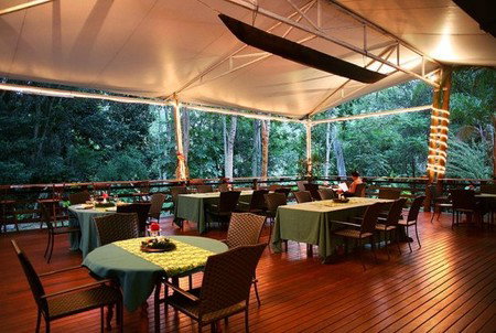 Cedar Park Rainforest Resort - Accommodation Whitsundays 5