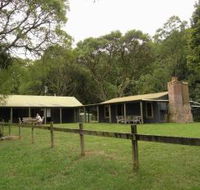 Tree Fern Lodge - Accommodation Whitsundays
