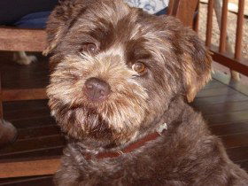 Lagoon Pocket Bed And Breakfast - Accommodation Whitsundays 0