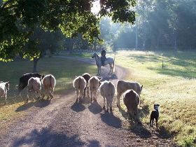 Brooloo Park - Accommodation Whitsundays 0