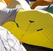 Exhibition Park in Canberra EPIC Camping Facilities - Accommodation Whitsundays