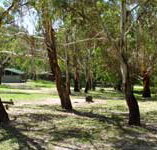 Woods Reserve - Accommodation Whitsundays