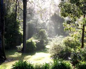 The Bawley Bed And Breakfast - Accommodation Whitsundays 2