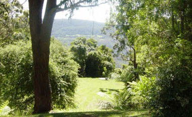 Red Dog Retreat - Accommodation Whitsundays 1