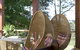 Bodalla Dairy Shed - thumb 5