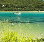Wooli Camping and Caravan Park - Accommodation Whitsundays
