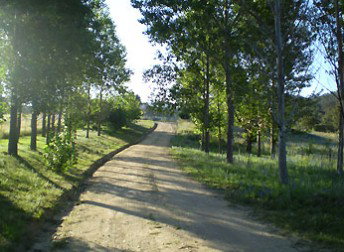 Mia Creek Bed And Breakfast - Accommodation Whitsundays 0