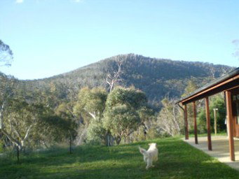 Mia Creek Bed And Breakfast - Accommodation Whitsundays 5