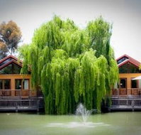 Perricoota Vines Retreat - Accommodation Whitsundays