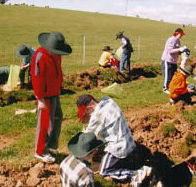 Banderra B and B Farmstay - Accommodation Whitsundays