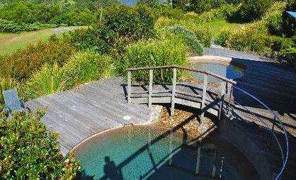 OReillys Rainforest Retreat - Accommodation Whitsundays 4