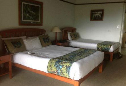 OReillys Rainforest Retreat - Accommodation Whitsundays 5