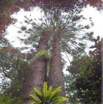 Aubigny ACT Accommodation Whitsundays