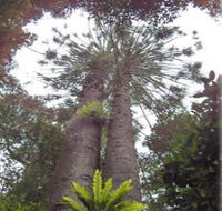 Moorlands Country Retreat - Accommodation Whitsundays