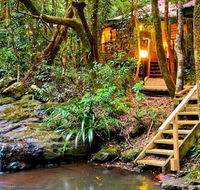 The Mouses House - Rainforest Retreat