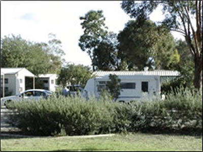 Banksia Tourist Park - Accommodation Whitsundays 3