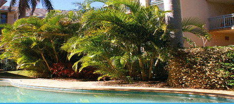Golden Sea Apartments - Accommodation Whitsundays 4