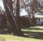 Winbi River Resort - Accommodation Whitsundays