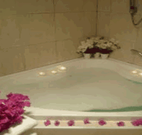 Swan Valley Oasis Resort - Accommodation Whitsundays