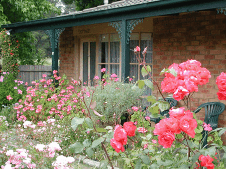 Balnarring Village Motor Inn - Accommodation Whitsundays 5