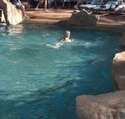 Undara Experience Lava Lodge - Accommodation Whitsundays