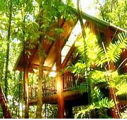 The Canopy Treehouses - Accommodation Whitsundays