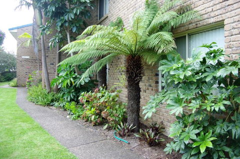 Beachfront Units Merimbula - Accommodation Whitsundays 3
